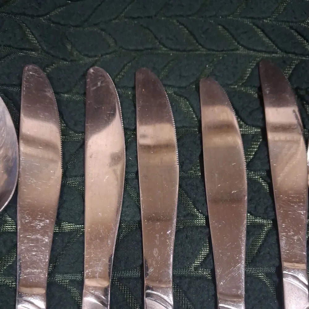 Cambridge CONQUEST Stainless Silverware Flatware Set Forks Knife Spoons * 5-pcs
